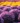 background (20)