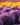 background (20)